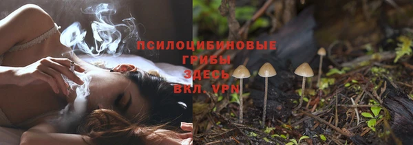 молекула духа Аркадак