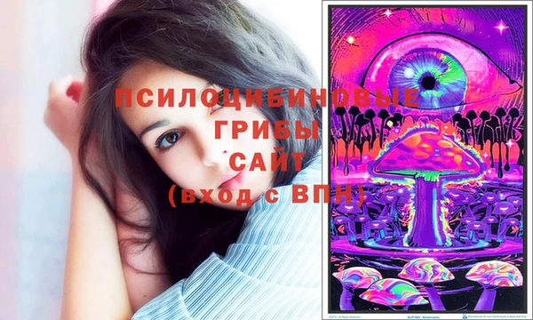 мескалин Арсеньев